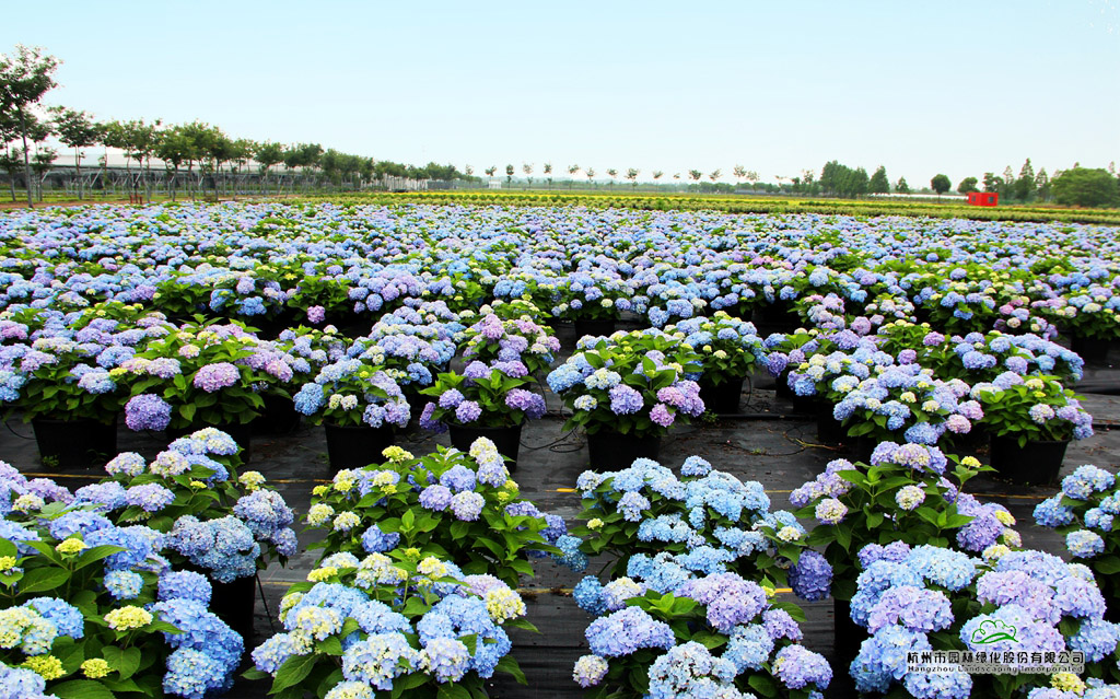 彩运网(中国游)官方网站