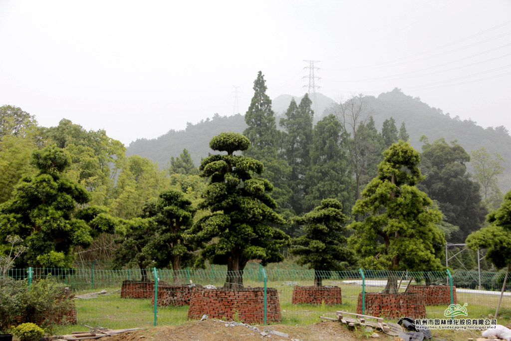 彩运网(中国游)官方网站