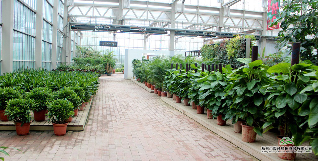 彩运网(中国游)官方网站