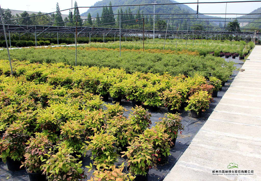 彩运网(中国游)官方网站