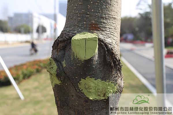 彩运网(中国游)官方网站