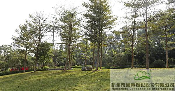 彩运网(中国游)官方网站