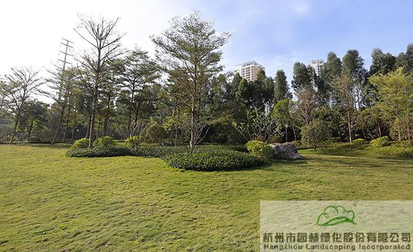 彩运网(中国游)官方网站