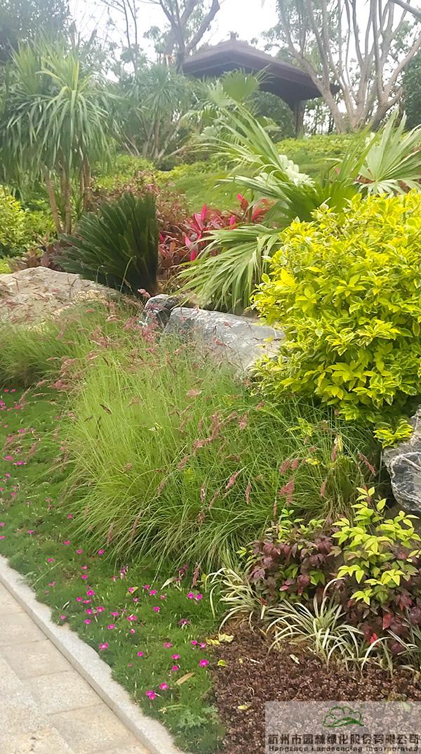 彩运网(中国游)官方网站