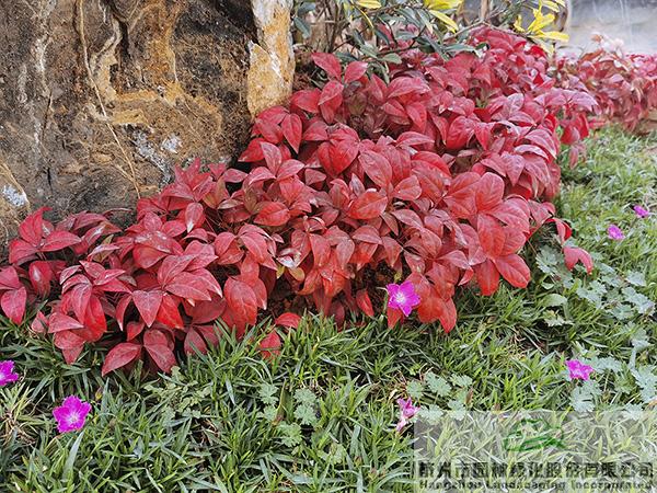 彩运网(中国游)官方网站