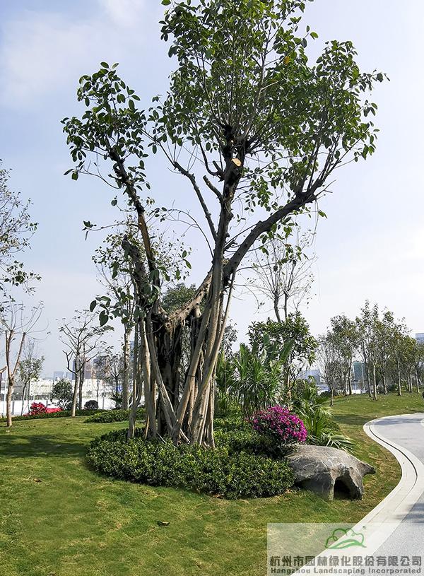 彩运网(中国游)官方网站