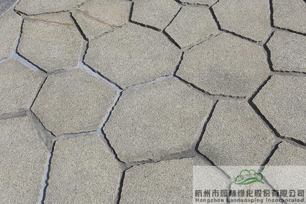 彩运网(中国游)官方网站