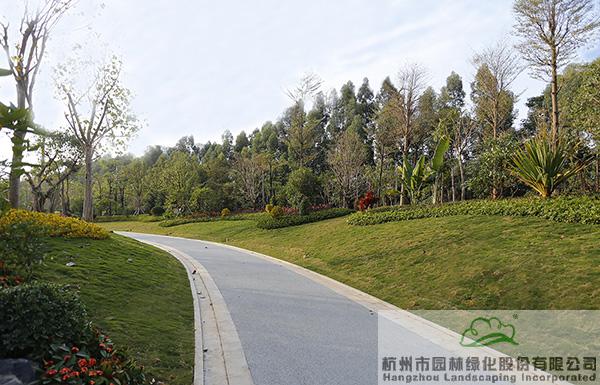 彩运网(中国游)官方网站