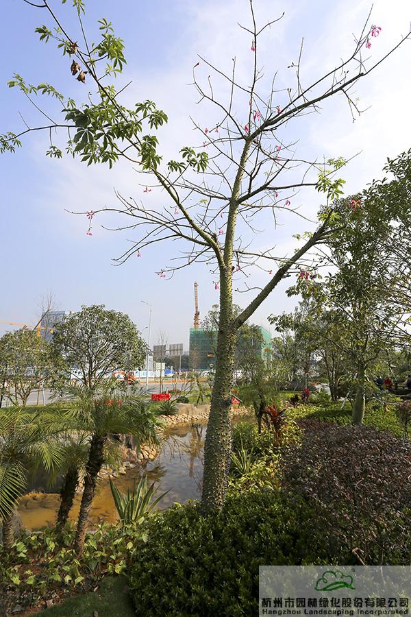 彩运网(中国游)官方网站