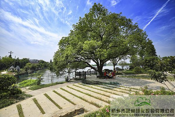 彩运网(中国游)官方网站