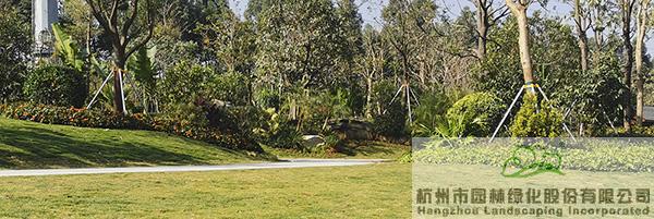 彩运网(中国游)官方网站