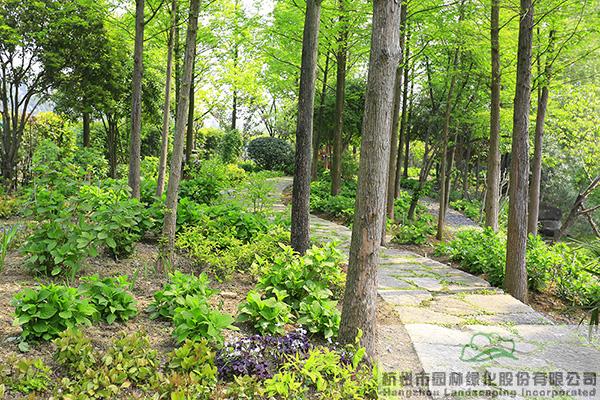 彩运网(中国游)官方网站