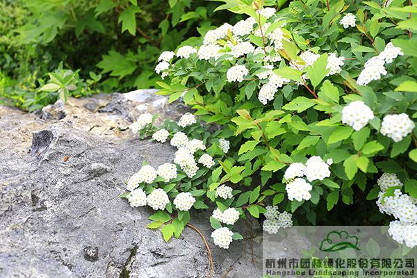 彩运网(中国游)官方网站