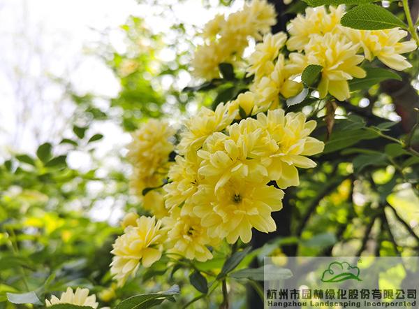 彩运网(中国游)官方网站