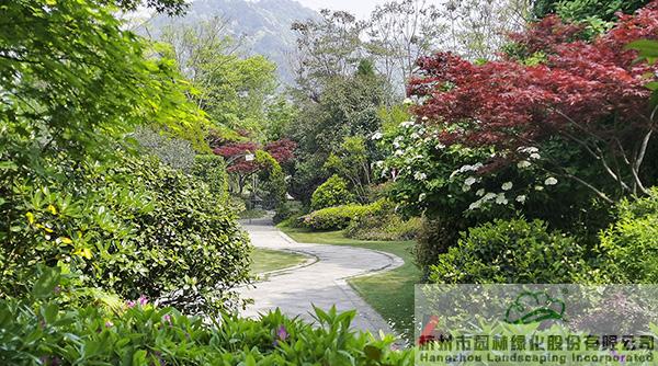 彩运网(中国游)官方网站