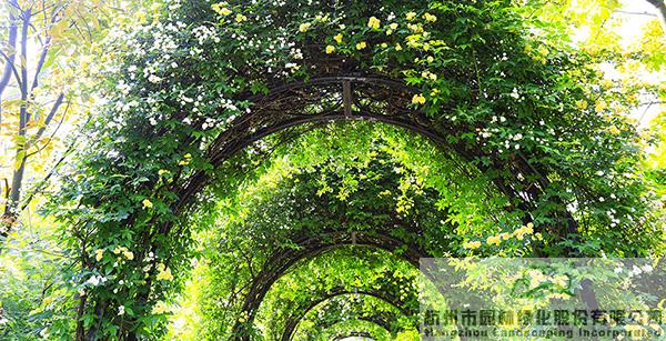 彩运网(中国游)官方网站