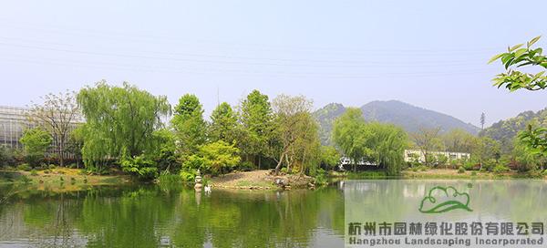 彩运网(中国游)官方网站