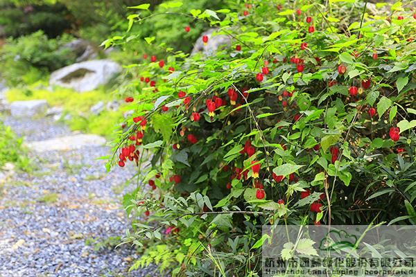 彩运网(中国游)官方网站