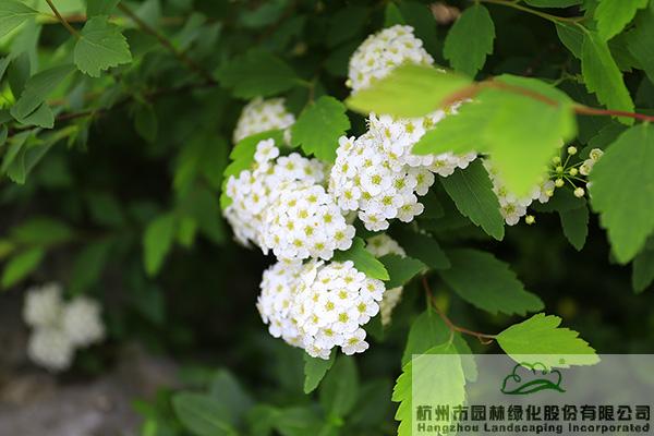 彩运网(中国游)官方网站