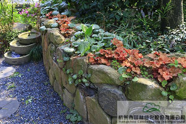 彩运网(中国游)官方网站