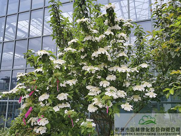 彩运网(中国游)官方网站