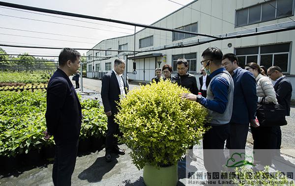 彩运网(中国游)官方网站