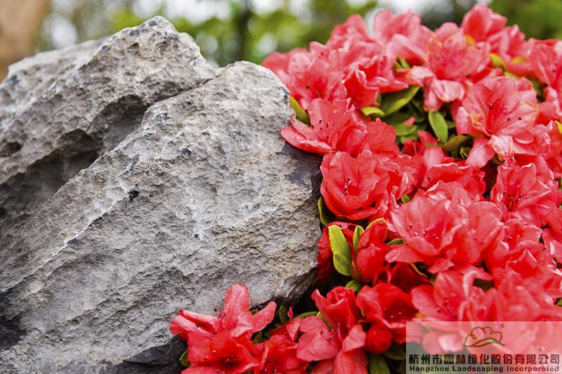 彩运网(中国游)官方网站