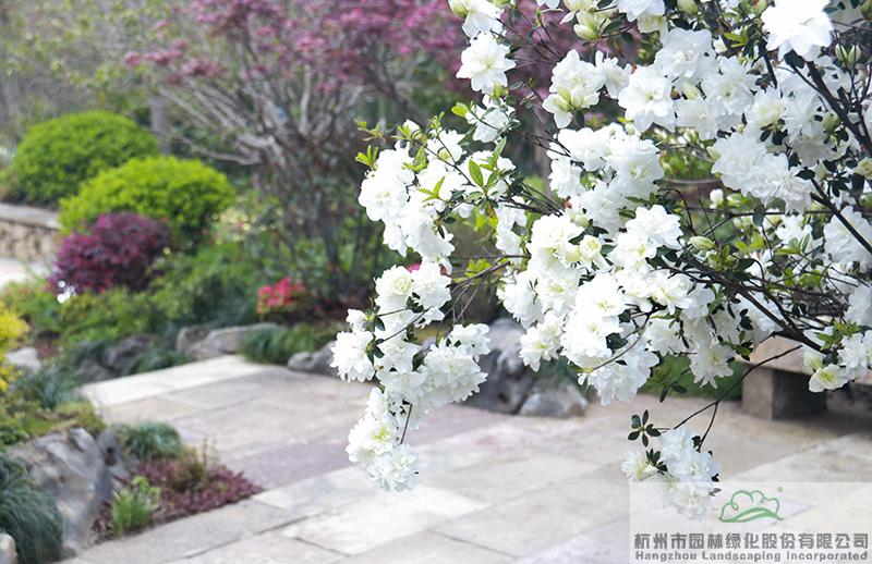 彩运网(中国游)官方网站