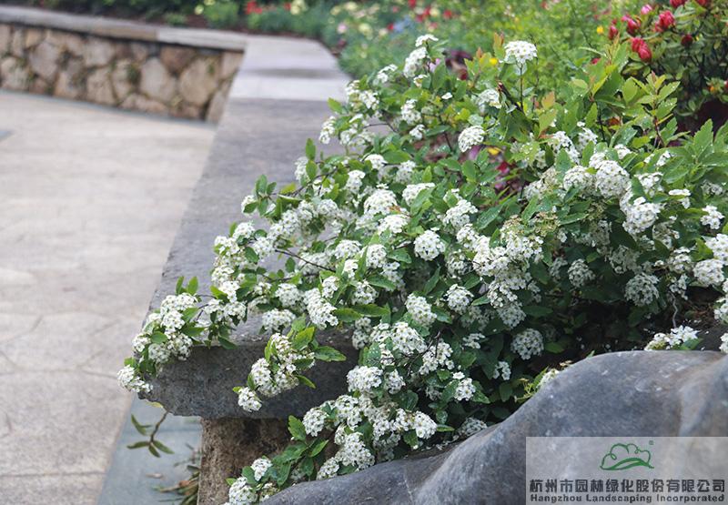 彩运网(中国游)官方网站