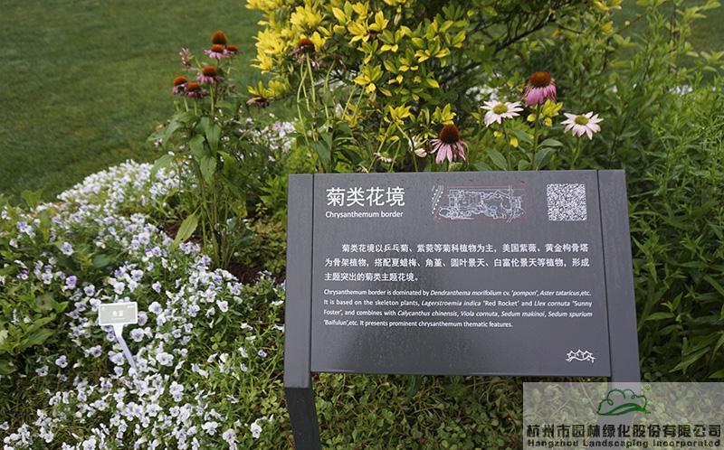 彩运网(中国游)官方网站