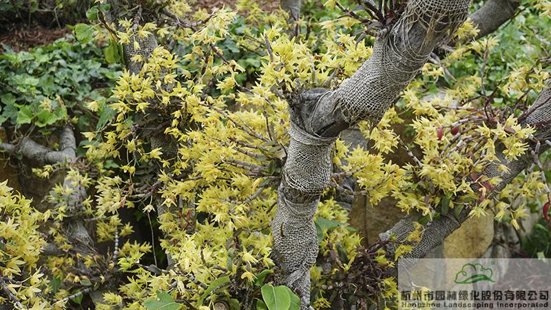 彩运网(中国游)官方网站