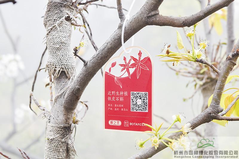 彩运网(中国游)官方网站