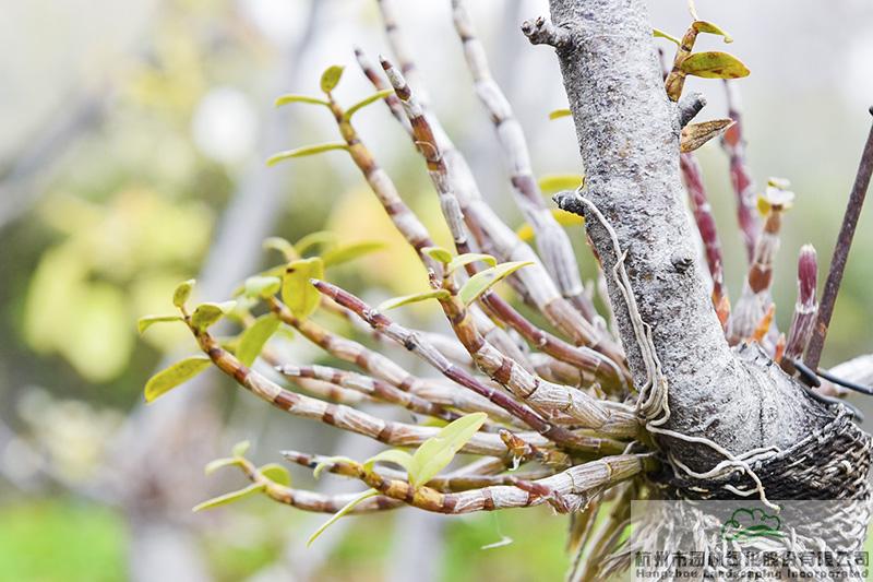彩运网(中国游)官方网站