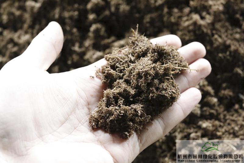 彩运网(中国游)官方网站