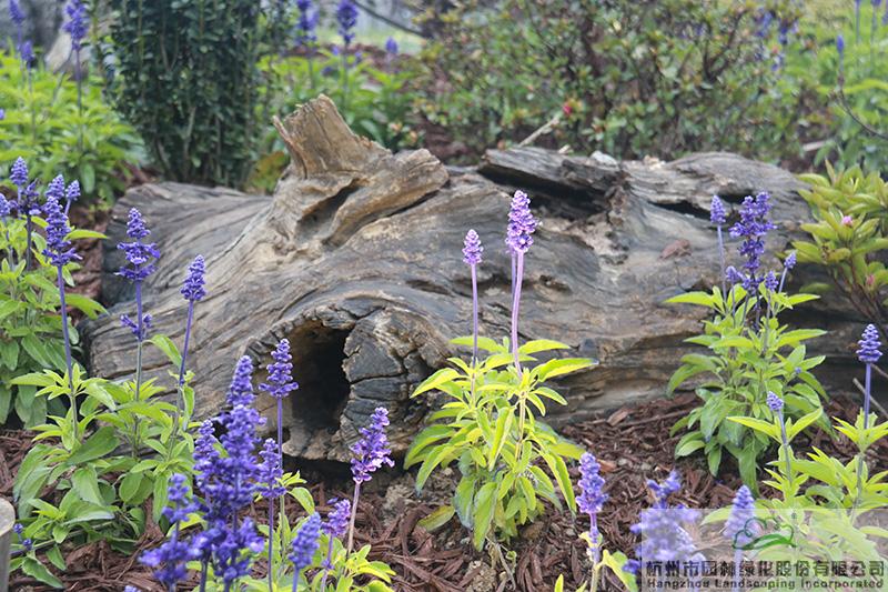 彩运网(中国游)官方网站