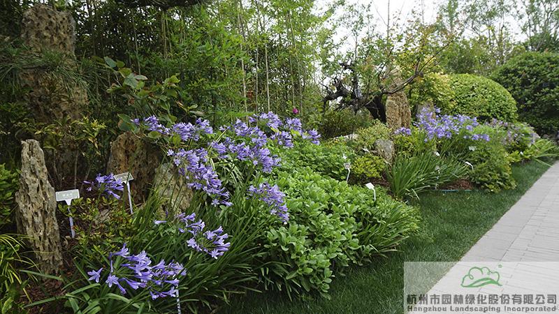 彩运网(中国游)官方网站