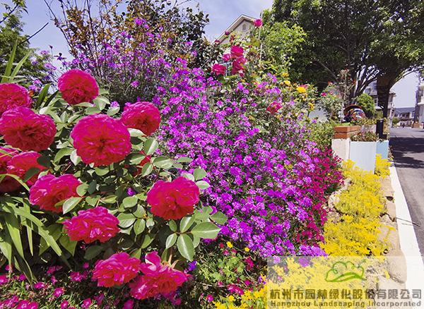 彩运网(中国游)官方网站