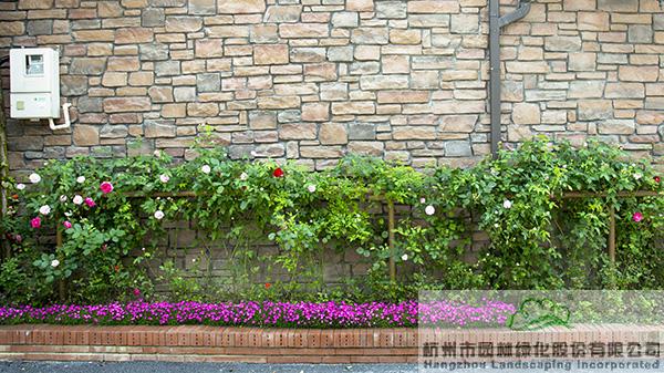 彩运网(中国游)官方网站