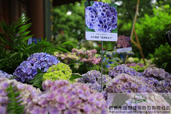 彩运网(中国游)官方网站