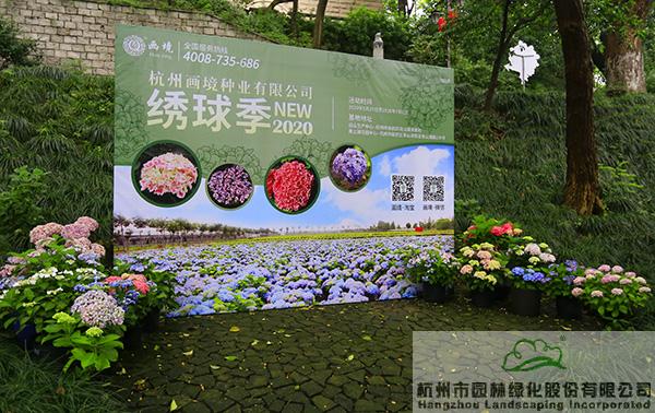 彩运网(中国游)官方网站