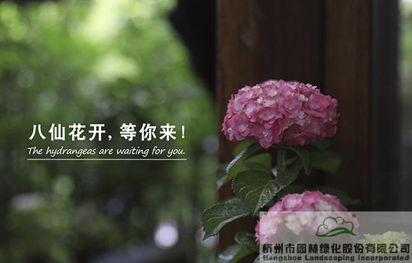 彩运网(中国游)官方网站