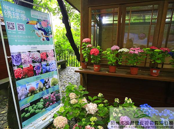 彩运网(中国游)官方网站