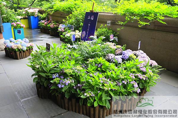 彩运网(中国游)官方网站