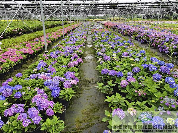 彩运网(中国游)官方网站