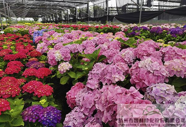 彩运网(中国游)官方网站