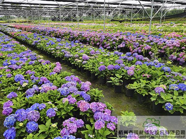 彩运网(中国游)官方网站