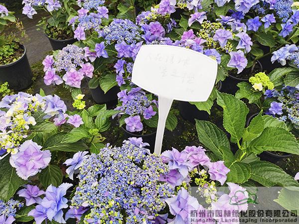 彩运网(中国游)官方网站