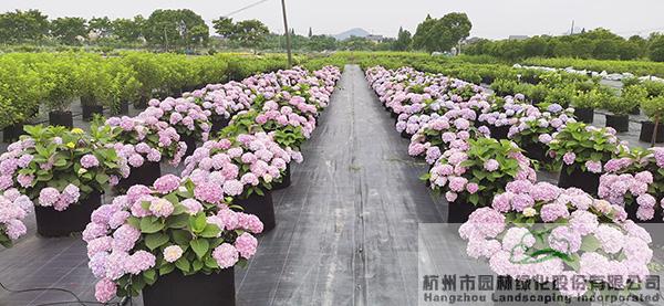 彩运网(中国游)官方网站