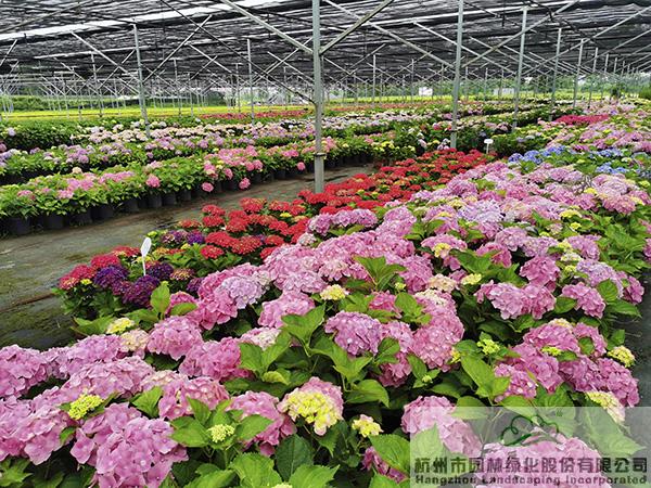 彩运网(中国游)官方网站