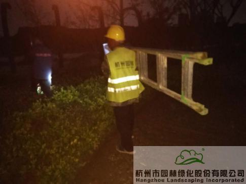 彩运网(中国游)官方网站